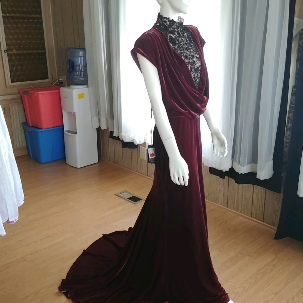 🌟🌟🌟SOLD🌟🌟🌟Tadashi Shoji Elegant Velvet Gown